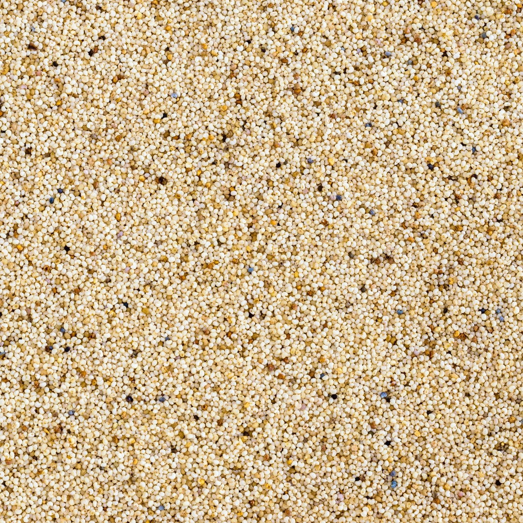 Poppy Seeds - khashkhash